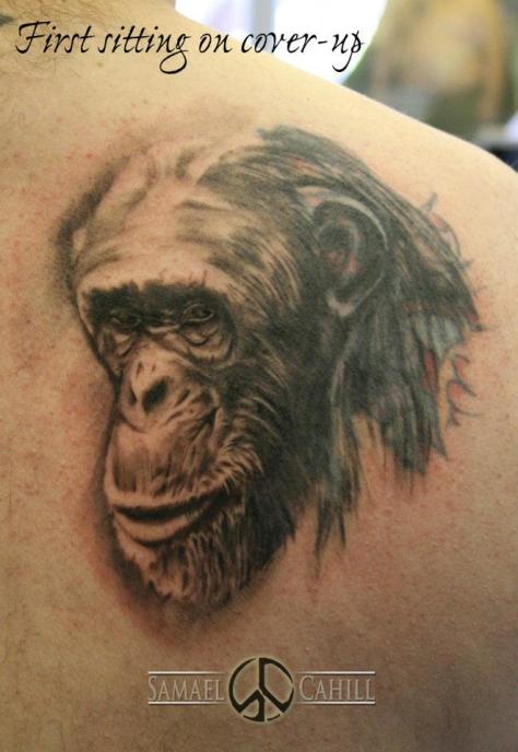 Darwin chimp 